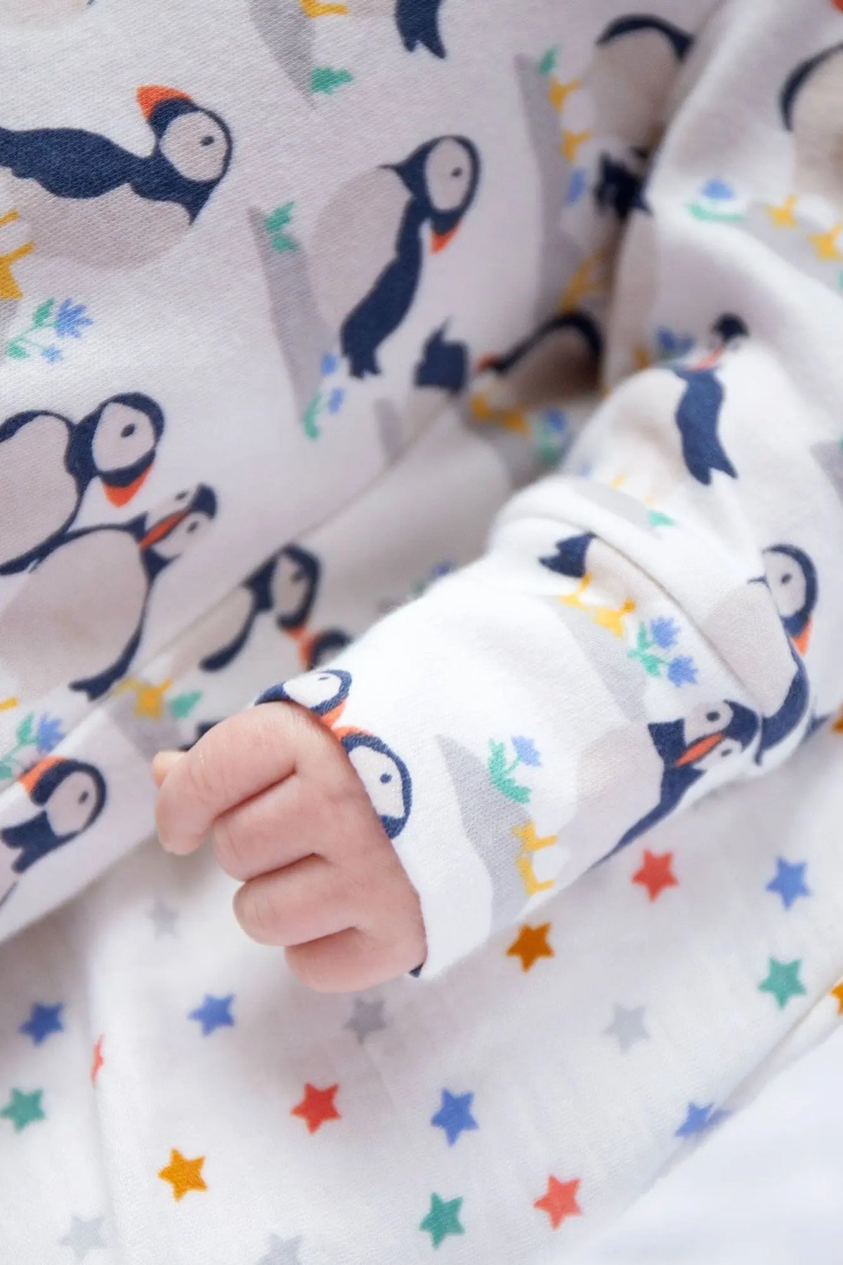 Frugi Organic Cotton Puffin Babygrow and Top Gift Set Sleepsuit / Babygrow Frugi