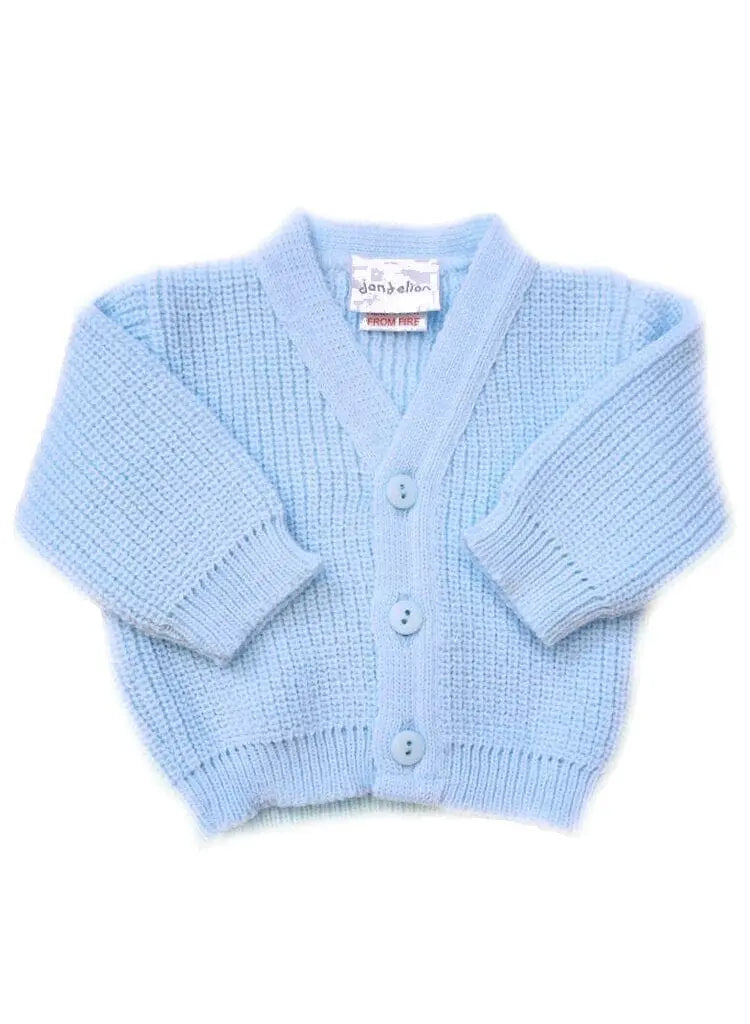 Blue Cardigan Cardigan / Jacket Dandelion