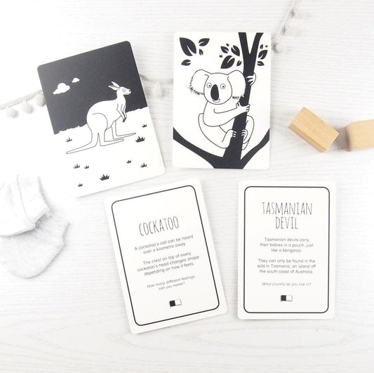 High Contrast Interactive Flash Card Set - Extraordinary Animals from Australia Book The Little Black & White Book Project