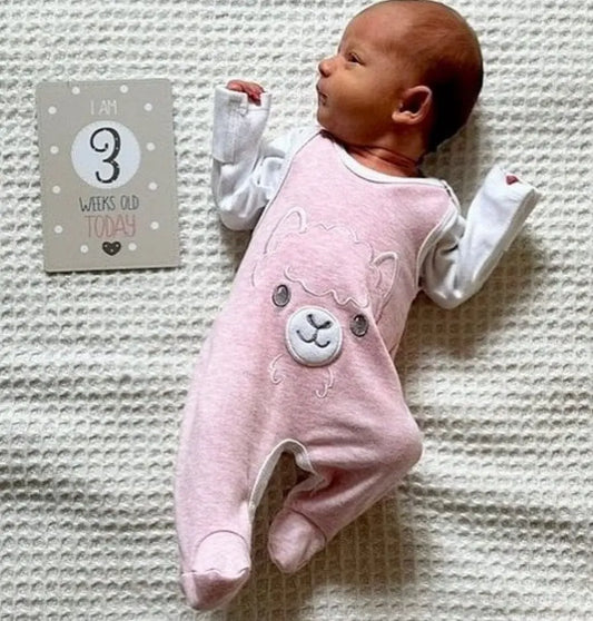 Early Baby Footed Dungarees, Cute Alpaca Design - Pink Dungaree EEVI