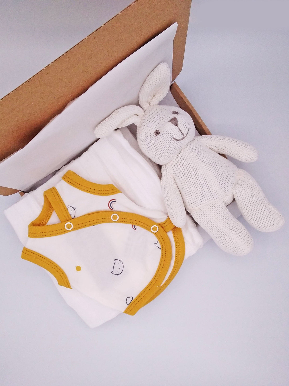 Pet Pals Gift Box - Incubator Vest, Toy, Muslin & Card Gift Set Tiny & Small