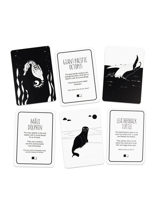 High Contrast Baby Flash Cards - Ocean Animals Book The Little Black & White Book Project
