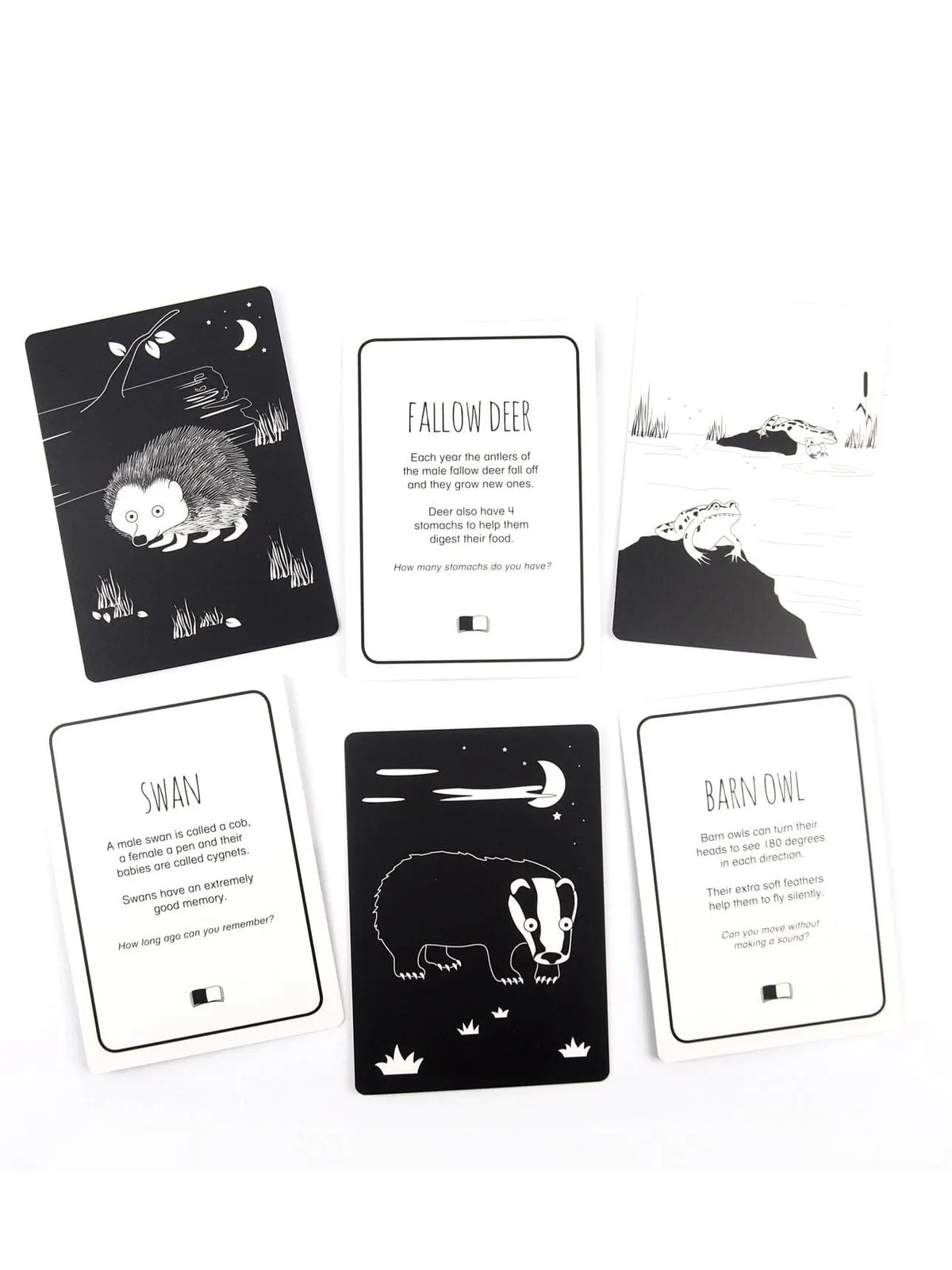 High Contrast Baby Flash Cards - Animals of Great Britain Book The Little Black & White Book Project