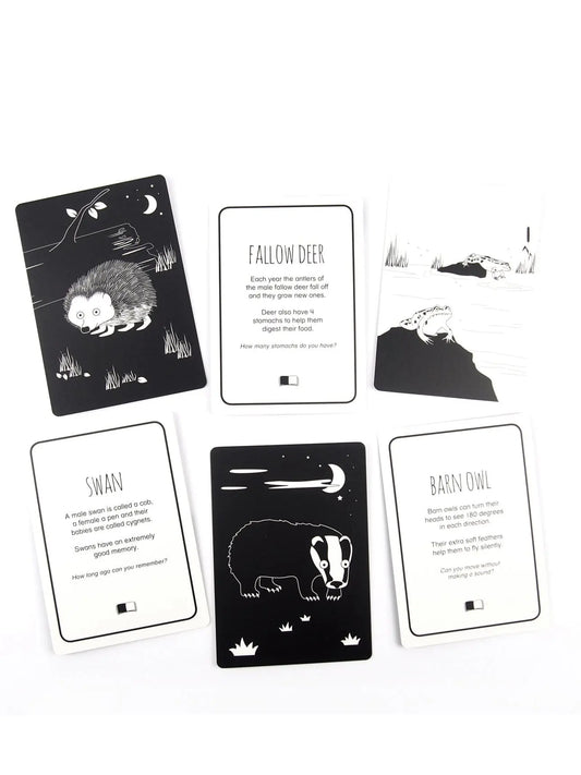High Contrast Baby Flash Cards - Animals of Great Britain Book The Little Black & White Book Project