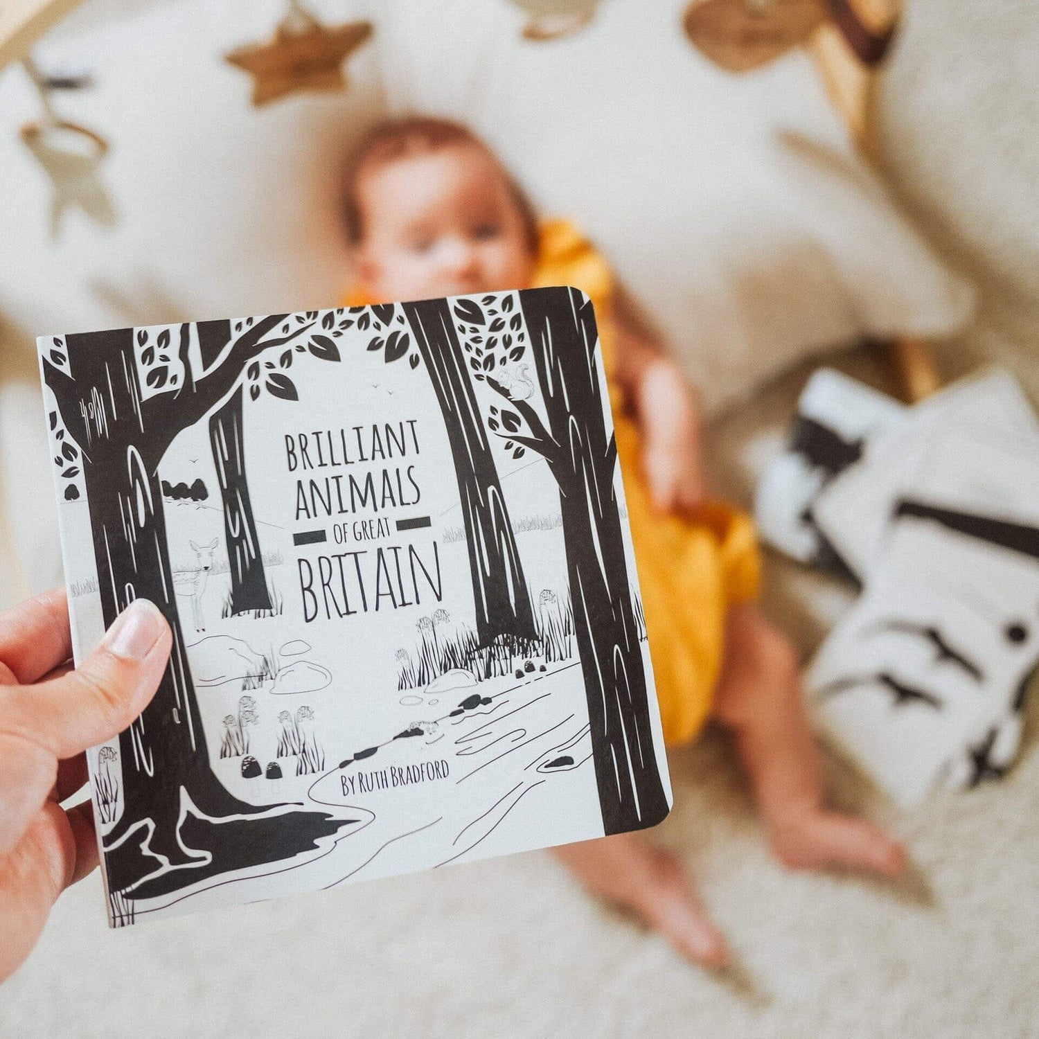 High Contrast Baby Books & Flash Cards
