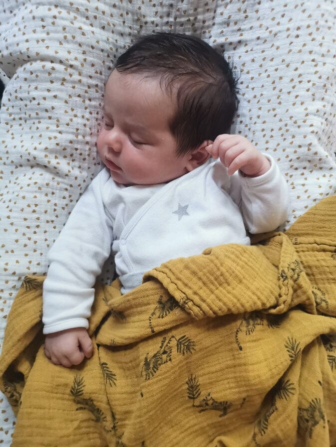 Swaddle Blanket - Mustard Tiger - 70 x 70 cm Swaddle Blanket Rose In April 