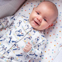 Frugi Organic Cotton Puffin Babygrow and Top Gift Set Sleepsuit / Babygrow Frugi 