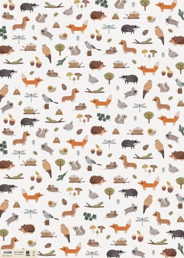 Gift Wrap Cards & Gift Wrap Little Mouse Baby Clothing & Gifts Woodland 