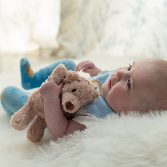 Puppy Plush Toy soft toy Ziggle Baby 