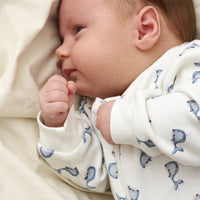 Pack of 2 Pippi Sleepsuits - Bears and Whales Sleepsuit / Babygrow Pippi 