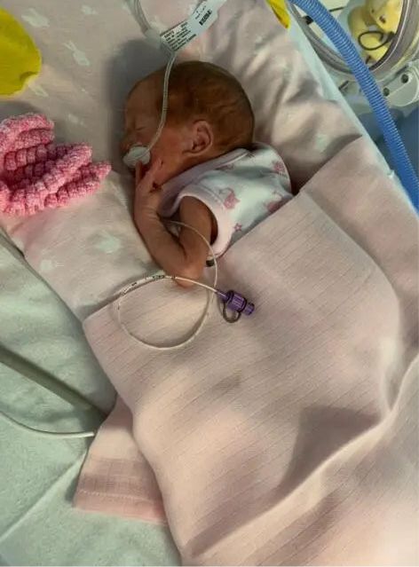 2 Pack Incubator Vests - Pink Elephant & Star Bodysuit / Vest Tiny Tots 