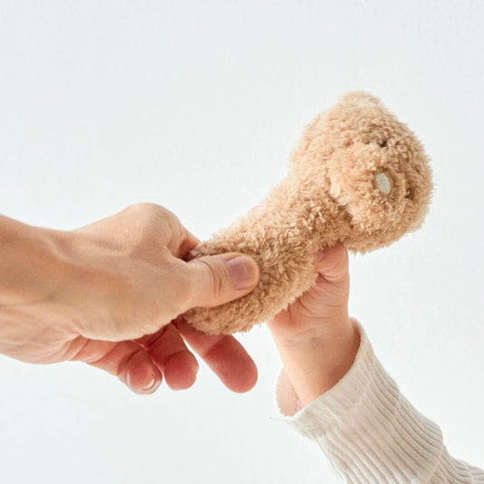 Nattou Teddy - Rattle Bear WAITING FOR IT TO ARRIVE! Toy Nattou 