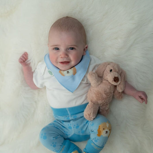 Puppy Plush Toy soft toy Ziggle Baby 