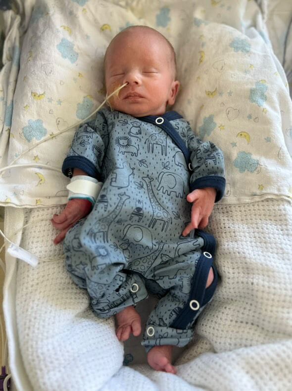 Premature Baby Sleepsuit, Safari Friends Sleepsuit / Babygrow Tiny & Small 
