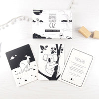 High Contrast Interactive Flash Card Set - Extraordinary Animals from Australia Book The Little Black & White Book Project 