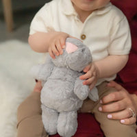 Grey Bunny Plush Toy Ziggle Baby
