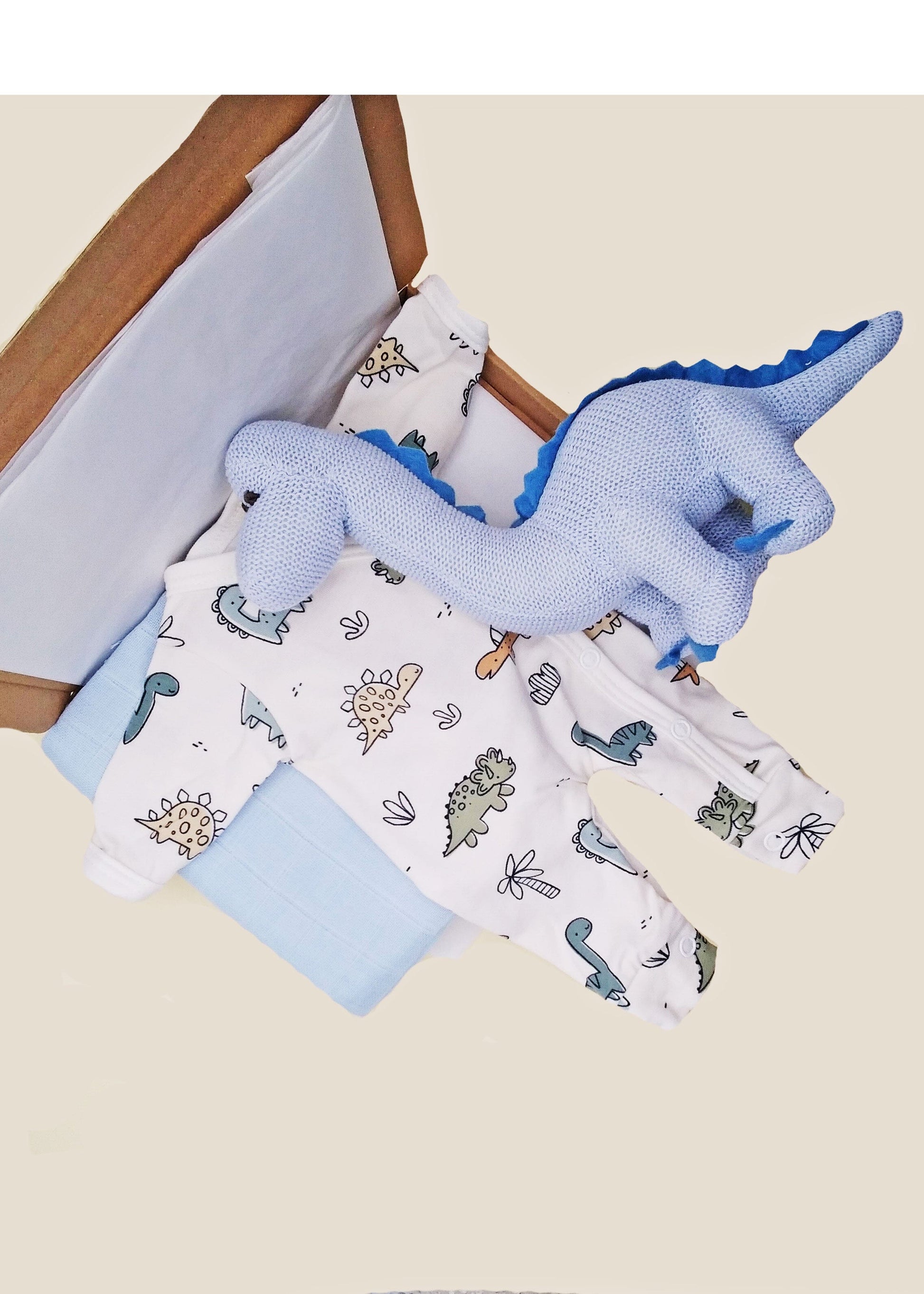 Baby Blue Dino Gift Box - Sleepsuit, Muslin & Toy Gift Set Little Mouse Baby Clothing & Gifts 
