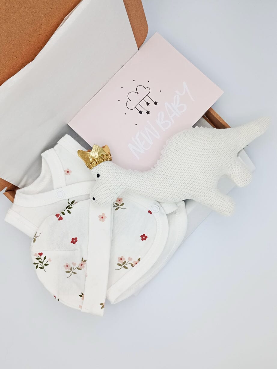 Coronation Themed Baby Gift Box - Incubator Vest, Round Hat, Diplodocus with Crown and Card - Set - Little Mouse Baby Clothing & Gifts