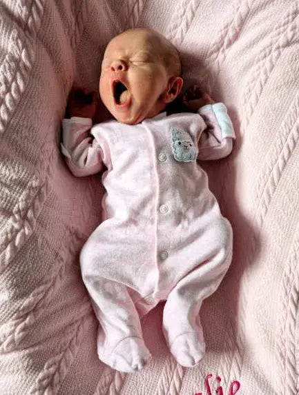 Tiny Baby Footed Sleepsuit, Cute Alpaca Design - Pink Sleepsuit / Babygrow EEVI 