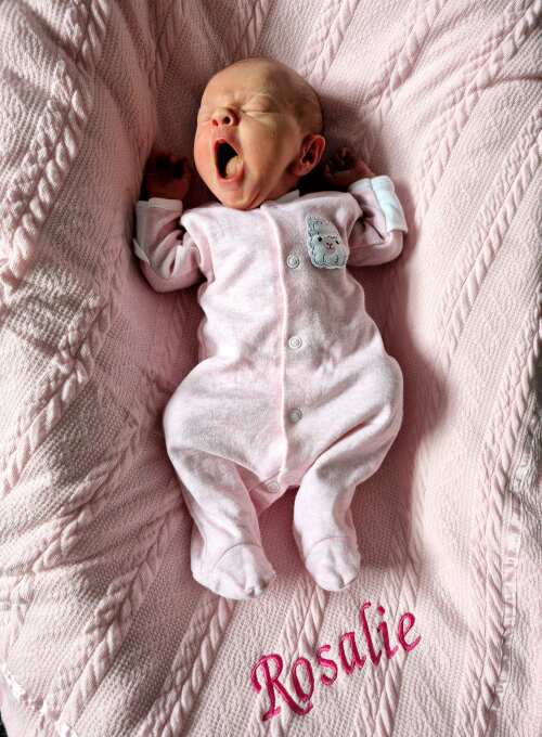 Tiny Baby Footed Sleepsuit, Cute Alpaca Design - Pink Sleepsuit / Babygrow EEVI 