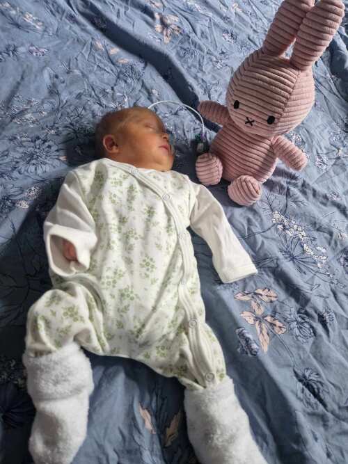 Dungaree & Top Set, Apple Floral, Premium 100% Organic Cotton Dungaree Tiny & Small 
