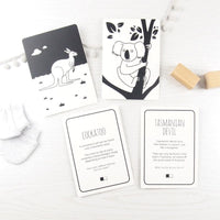 High Contrast Interactive Flash Card Set - Extraordinary Animals from Australia Book The Little Black & White Book Project 