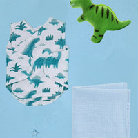 Dinosaur Discovery Gift Box - Incubator Vest, Toy & Muslin Gift Set Little Mouse Baby Clothing & Gifts 
