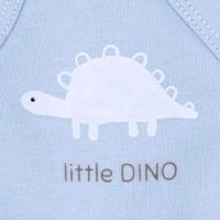 2 Pack Incubator Vest & Hat Sets, Dinos - Organic Cotton