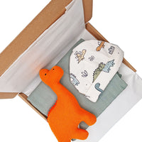 Dinosaur Gift Box - Hat, Muslin and Toy - DESCRIPTION PLS Little Mouse Baby Clothing and Gifts Ltd 