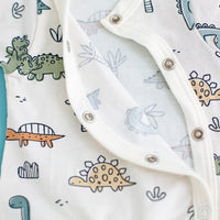 Prem Baby Sleepsuit, Dino Buddies Sleepsuit / Babygrow Tiny & Small 