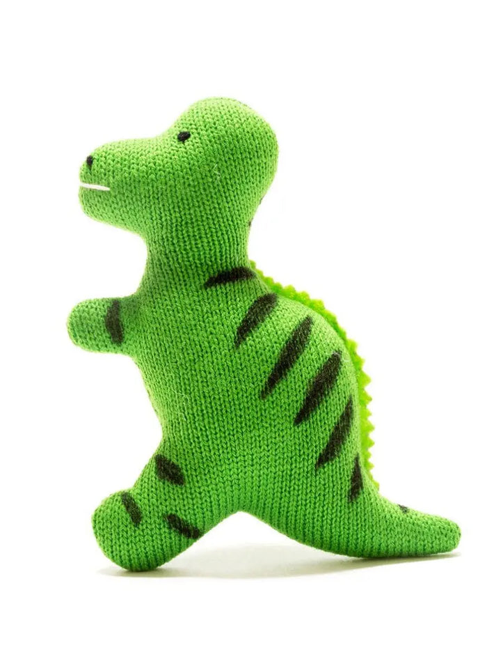 Baby T Rex Dinosaur Flatty Sensory Toy