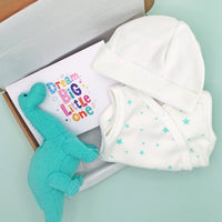 Mint Green Baby Dinosaur Gift Box - Incubator Vest, Hat, Dinosaur Teddy & Optional Card Gift Set Little Mouse Baby Clothing & Gifts 