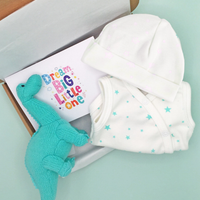Mint Green Baby Dinosaur Gift Box  - Incubator Vest, Hat, Dinosaur Teddy & Optional Card