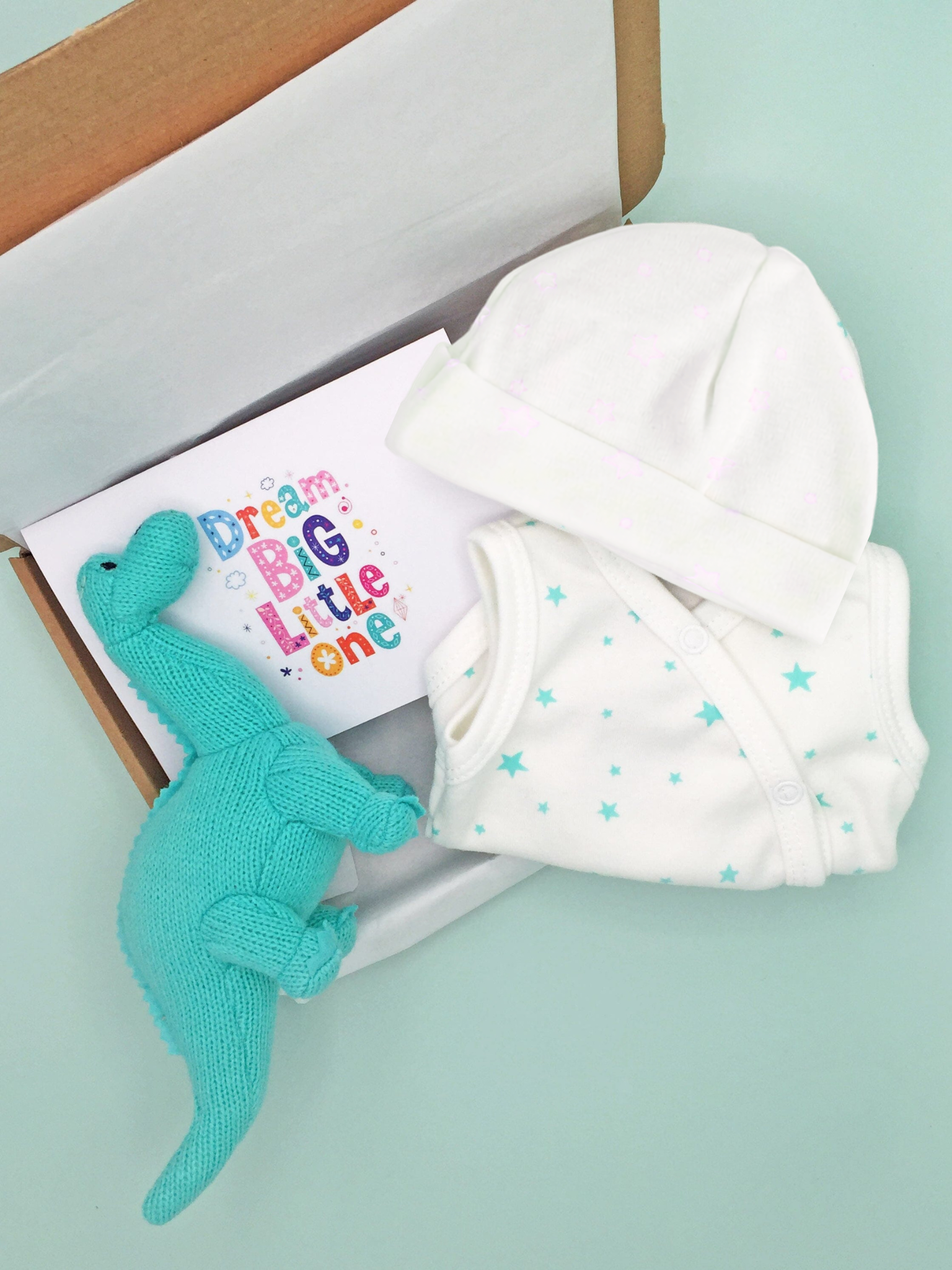 Mint Green Baby Dinosaur Gift Box  - Incubator Vest, Hat, Dinosaur Teddy & Optional Card