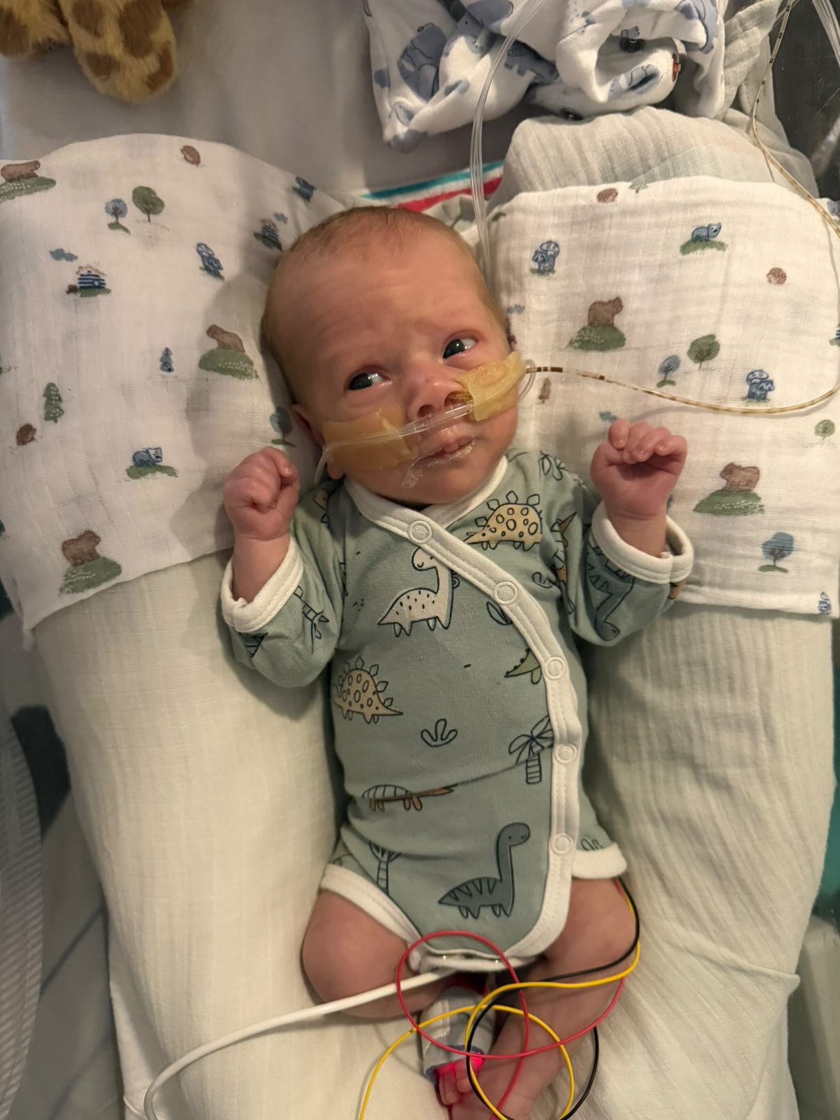 Bodysuit, Dino Buddies, Teal Bodysuit / Vest Tiny & Small 