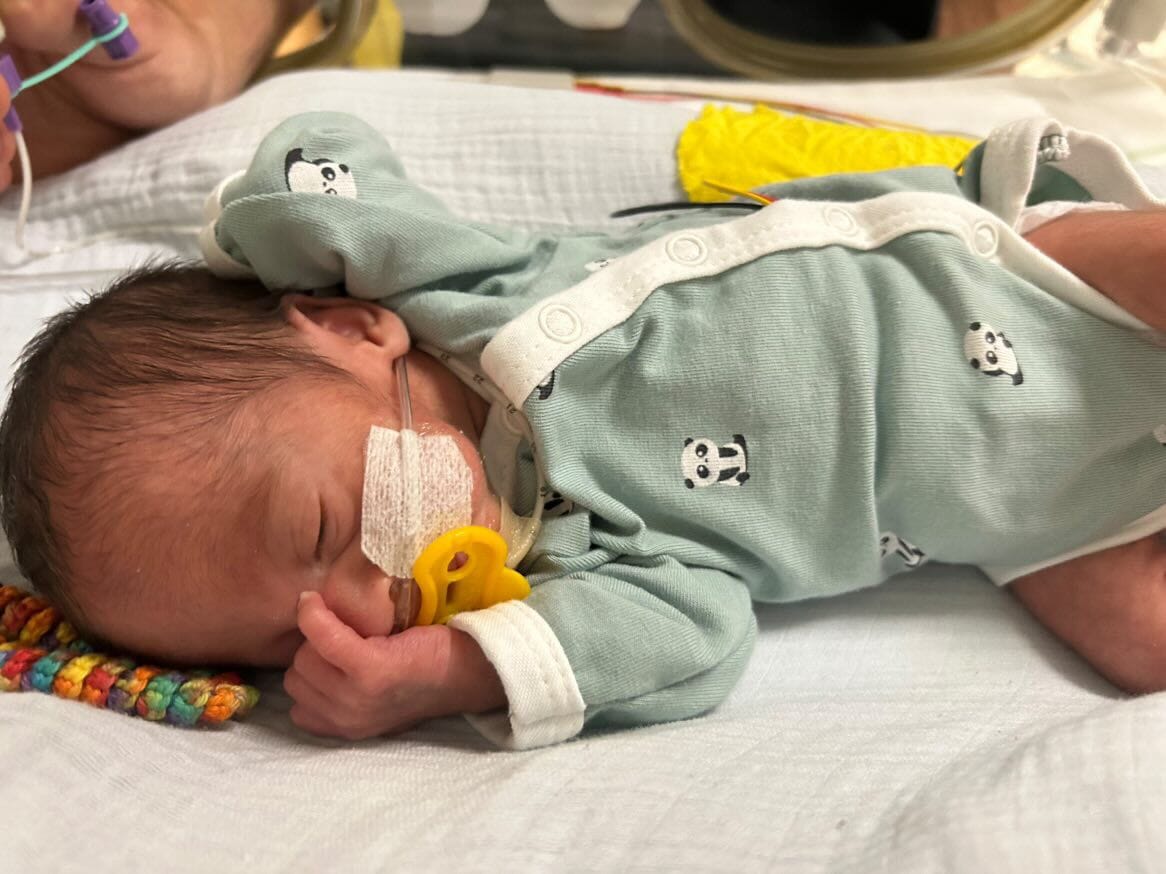 Premature Baby Bodysuit, Panda Cuddles Bodysuit / Vest Tiny & Small 