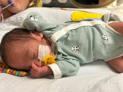 Premature Baby Bodysuit, Panda Cuddles Bodysuit / Vest Tiny & Small 