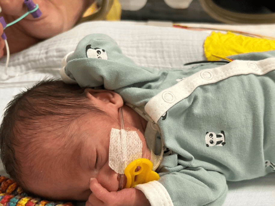 Prem Baby Sleepsuit, Panda Cuddles Sleepsuit / Babygrow Tiny & Small 