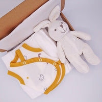 Pet Pals Gift Box - Incubator Vest, Toy, Muslin & Card Gift Set Tiny & Small 