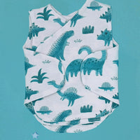 Dinosaur Discovery Gift Box - Incubator Vest, Toy & Muslin Gift Set Little Mouse Baby Clothing & Gifts 