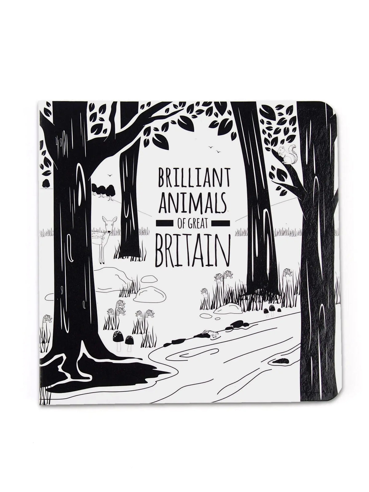 High Contrast Baby Book - British Animals Book The Little Black & White Book Project 