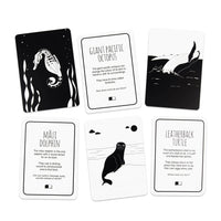 High Contrast Baby Flash Cards - Ocean Animals Book The Little Black & White Book Project 