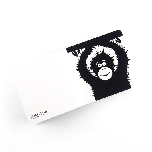 High Contrast Baby Book - Southeast Asian Animals Book The Little Black & White Book Project 