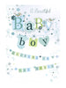 Welcome To The World - Baby Boy Card - New baby card - The Little Posy Print Company