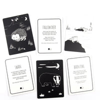 High Contrast Baby Flash Cards - Animals of Great Britain Book The Little Black & White Book Project 