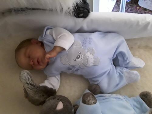 Early Baby Footed Dungarees, Embroidered Bear Design - Blue Dungaree EEVI 