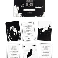 High Contrast Baby Flash Cards - Ocean Animals Book The Little Black & White Book Project 