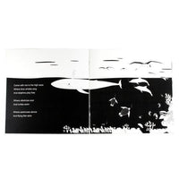 High Contrast Baby Book - Come Explore With Me Book The Little Black & White Book Project 